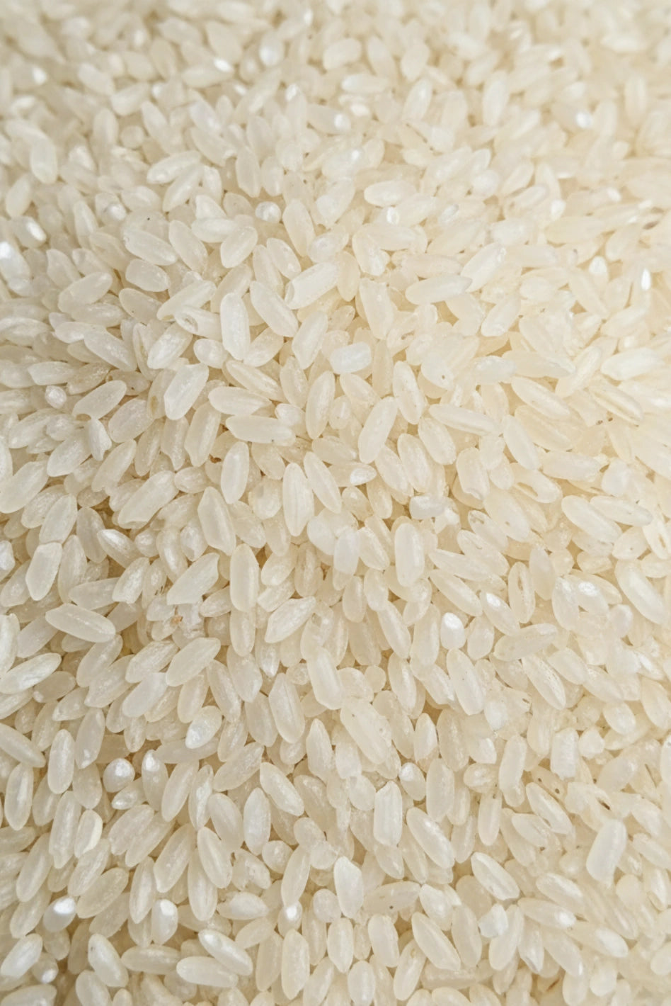 Regional Indian Rice